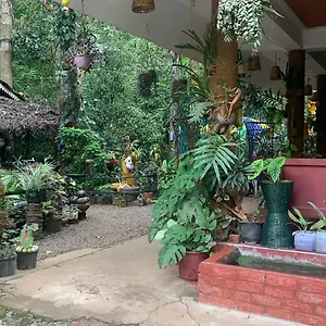  Homestay Jungleview